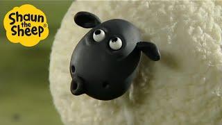 Shaun the Sheep  EPIC SHEEP - Cartoons for Kids  Full Episodes  Full Season 1