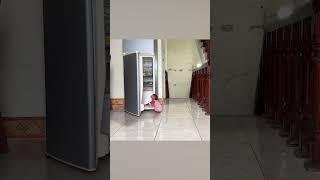 Monkey NANA woke up hungry and went looking for food #smartmonkey #shorts #monkey #babymonkey