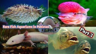 Part 3 Karachi Zoo Fish Aquariums Side.kind of Fish