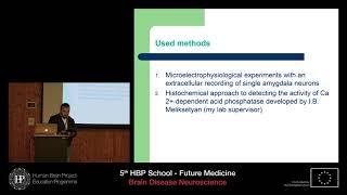 Khachatryan Vahagn - Study of neuronal activity amygdala of rat's after immobilization stress (...)