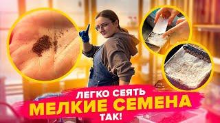 ЛЕГКО ПОСЕЯТЬ МЕЛКИЕ СЕМЕНА! Лобелия, петуния