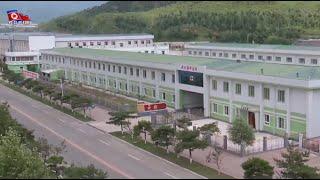 Rason Pharmaceutical Factory Rebuilt [English]