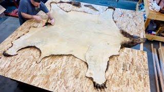 Shaping A Grizzly Bear After Stretching, #taxidermist #taxidermy #alaska #bearhunting #grizzlybear