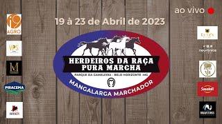 32º HERDEIROS DA RAÇA PURA MARCHA - DIA 2 - parte 1