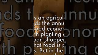 From Farm to Fork: The Hidden Story | Wendell Berry