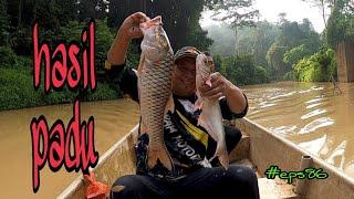 tahan jaring ikan sungai hasil padu pesta lagi (#eps86)