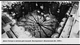 Мышиный рай. Нострадамус, библия, масоны---одна шарага пархатых.14.05.2025г.