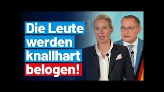  Wahrheit oder Lüge? Alice Weidel & Tino Chrupalla decken schmutzige Geheimnisse auf! ️‍️