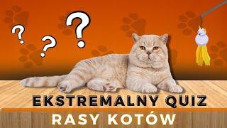 Ekstremalne Quizy - Rasy Kotów