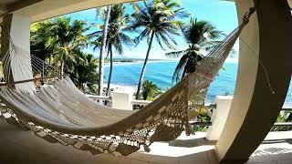 Surf en Playa Las Flores 2023 El Salvador (El Cuco)