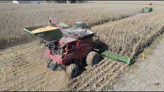 Harness Farms Corn Harvest -  Frankfort Indiana