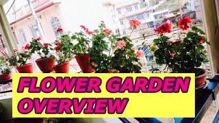 Flower garden overview (nepal)