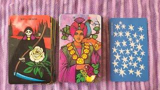 Morgan Greer Tarot in a Tin Review ️