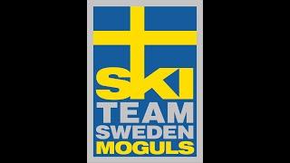 LIVE: Mogul ski Europa cup Q January 22