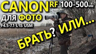 Фотоохота с Canon RF 100-500mm F4.5-7.1 L IS USM /Canon R5