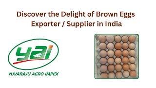 "Elevate Your Breakfast Experience with Rich and Nutritious Brown Eggs!" | Yuvaraju Agro Impex