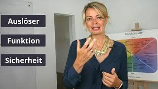 Der Emotionsdreiklang - Die Funktionen hinter Emotionen - Was ist eine Emotion? (3/3)