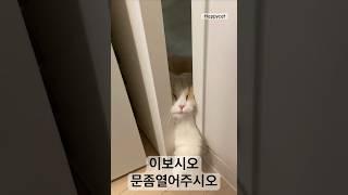 지나가는 나그네 올시다