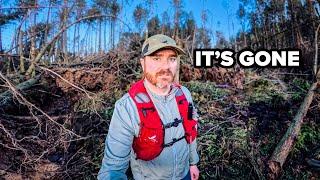 The Problem With Ireland's Trees Exposed by Storm Éowyn