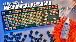 How to Clean a Mechanical Keyboard Ft. Cosmicbyte Firefly CB-GK-18