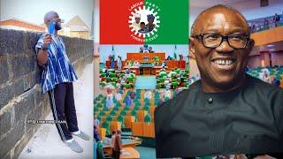 They used Peter Obi, House of Representatives members used Peter Obi as ladder and then dump