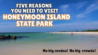 Top Five Reasons to visit Honeymoon Island State Park Beach