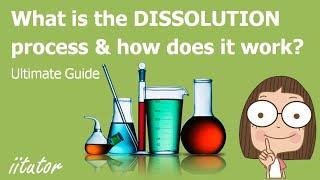  What is the DISSOLUTION process and how does it work?