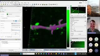 Zeiss Arivis Training II: Neuron Trace