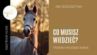 5 rzeczy, które musisz wiedzieć przed trenowaniem młodego konia