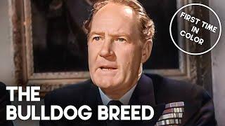 The Bulldog Breed | Classic Comedy Movie