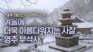 겨울에 더욱 아름다워지는 사찰 영주 부석사 무량수전 | 전설 설화 이야기 문화 역사 사찰 여행 | 겨울에 가볼만한 사찰 여행지 베스트5