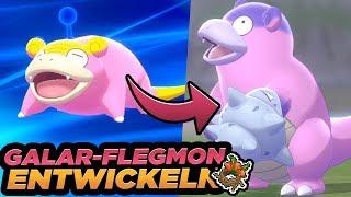 So entwickelt ihr GALAR-FLEGMON zu GALAR-LAHMUS! • Insel der Rüstung Guide