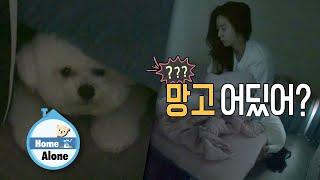 UIe searches under her bed while hanging upside down [Home Alone Ep 349]