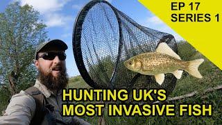 Most Invasive Fish in UK: Chasing Scales Species Hunt  (EPISODE 17)