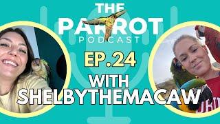 Macaws, African Greys, Biting, Plucking, Winter With Birds | The Parrot Podcast #24@ShelbyTheMacaw