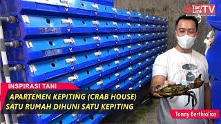 Budidaya Kepiting Sistem Vertical Crab House, Lebih Efisien Resiko Kematian Rendah