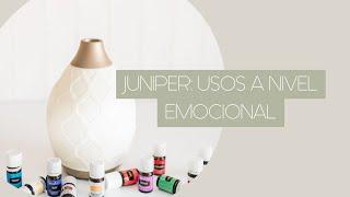 Juniper: usos emocionales del aceite esencial de Enebro