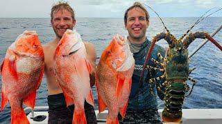 First Time Diving Far North QLD | Red Emperor & Big Crays | New No Viz Boat (Macboat)