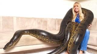 This Woman Owns Biggest Most Unusual Pet Ever