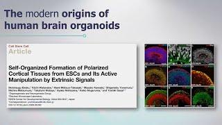 Brain Organoids and Robotics / AI - Sanford Stem Cell Symposium