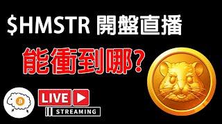 $HMSTR 開盤直播 價格能衝到哪? 直播討論