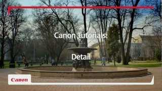 Capture Every Detail - Canon EOS 650D DSLR Camera Tutorial - Canon