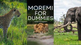 Self Drive Safari For Dummies - Moremi Game Reserve