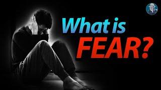 What is fear