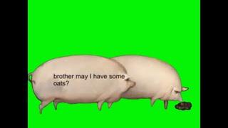 Brother may I have some oats green screen