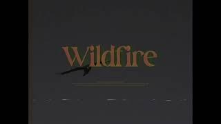 Wildfire