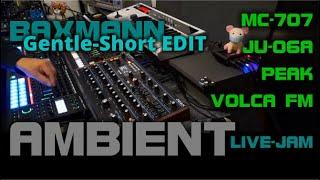 AMBIENT | LIVE | BAXMANN-Jam (Gentle-Short EDIT) | MC-707 / PEAK / JU-06A / SH-01A / VOLCA FM microX