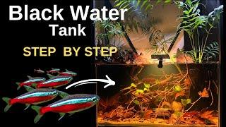 Easy & Cheap! Black Water Aquarium/ How To Make/ Step By Step/ Aquascape Tutorial/ Natural Aquarium