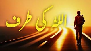 ALLAH Ki Taraf | Spiritual Quotes Compilation Video | Listen the Islam Q.K