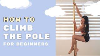 HOW TO CLIMB THE POLE TUTORIAL | Pole Dancing for Beginners | Pole Dance Basic and Forearm Climbs